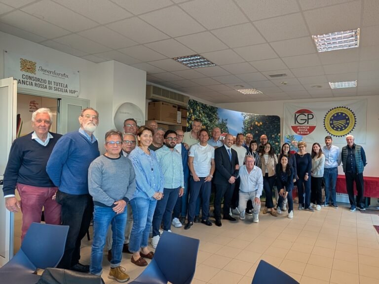 Arancia Rossa di Sicilia IGP: il Consorzio approva il bilancio chiuso in positivo