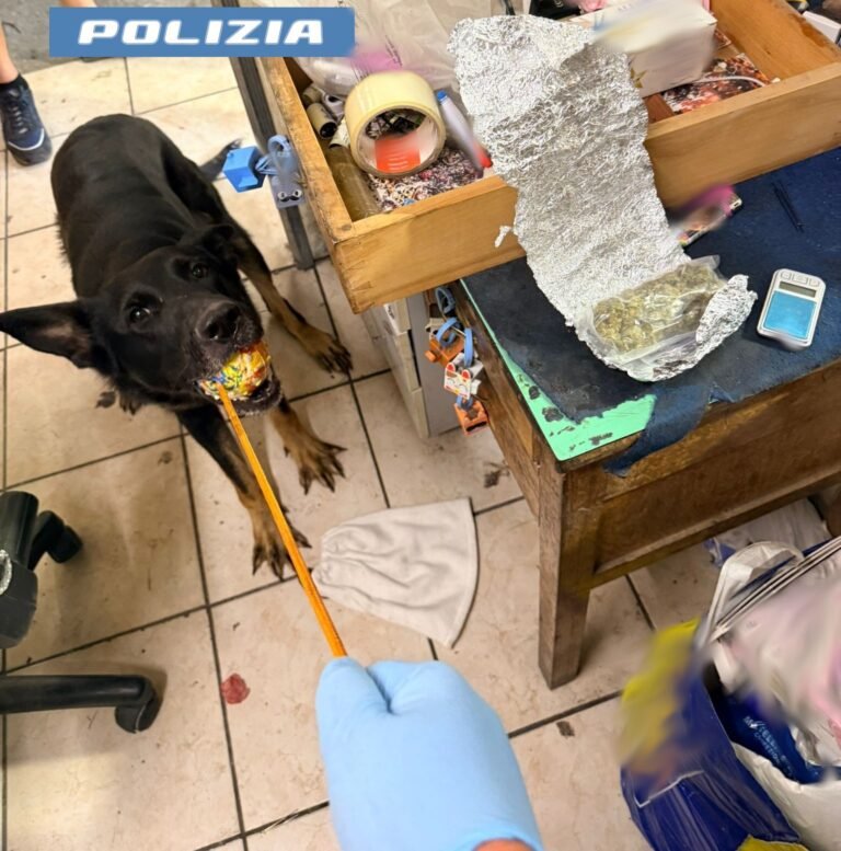 Catania, nascondiglio di droga scoperto tramite app “YouPol”: 46enne denunciato dalla Polizia