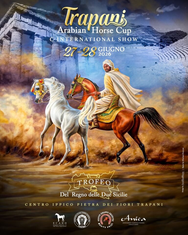 Torna la Trapani Arabian Horse Cup: il 27 e 28 giugno l’eccellenza del cavallo arabo in Sicilia