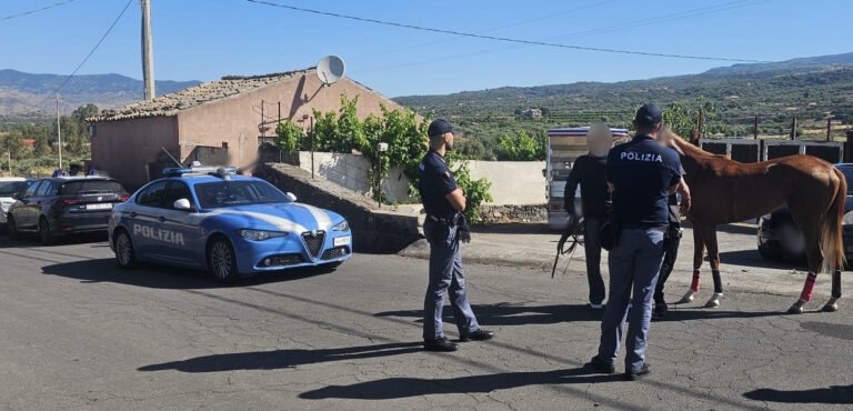 A Catania si accentua il contrasto alle corse clandestine di cavalli, intervento interforze tra Paternò e Adrano