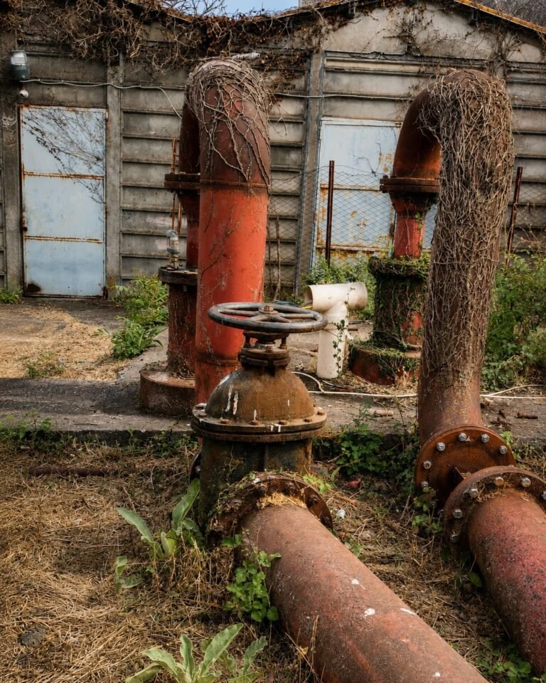Palermo, appello del Forum a tutte le forze civili e sociali in difesa dell’acqua “bene comune”