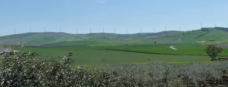 Furti nei fondi agricoli della Piana di Catania: Confagricoltura scrive al Prefetto Signoriello