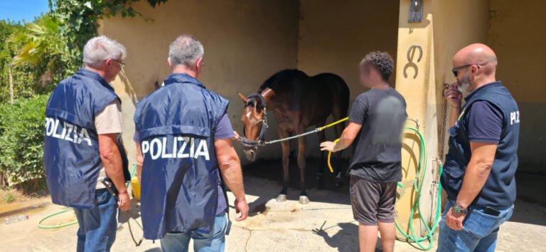Caltagirone, contrasto alle corse clandestine di cavalli: Polizia denuncia 9 persone