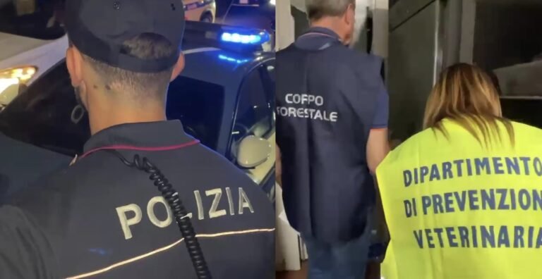 Catania, Polizia sanziona due esercizi pubblici per lavoro in nero, carenze sulla sicurezza e prodotti alimentari non tracciati