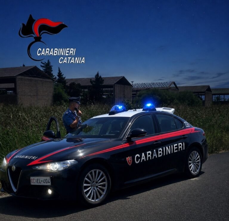 Catania,t entato furto nella zona industriale: i Carabinieri lo inseguono tra rovi e recinzioni e lo trovano nascosto