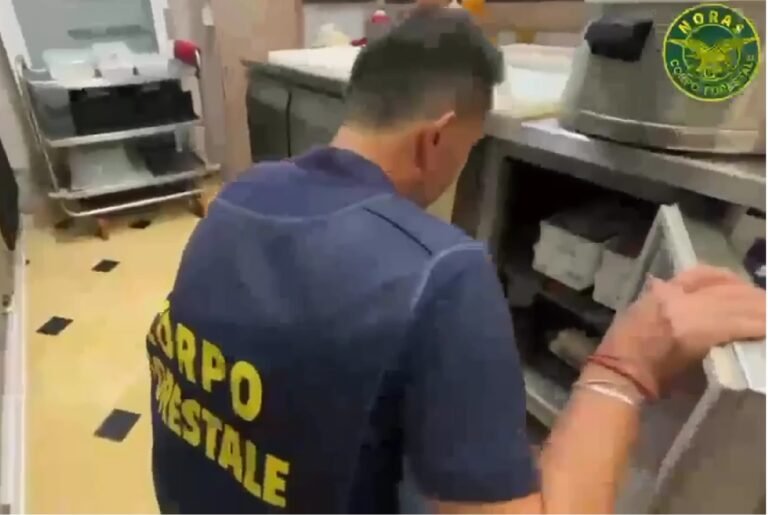 Catania, controlli della task force coordinata dalla Polizia in un chiosco-panineria ed in un ristorante etnico