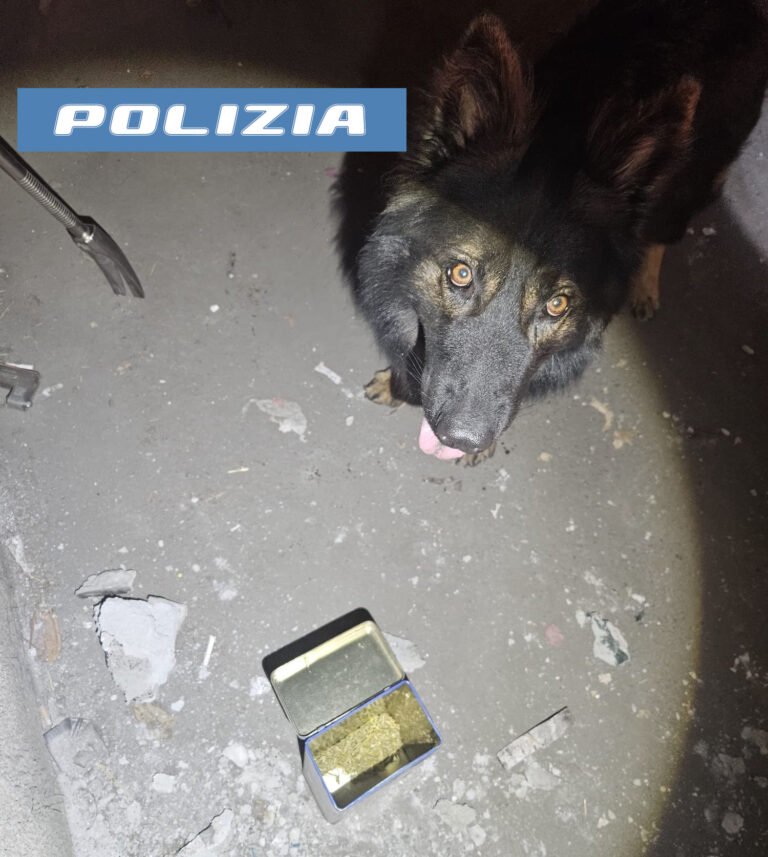 Catania, oltre 3,5 chilogrammi di droga sequestrati dalla Polizia ad un pusher che operava “on line”