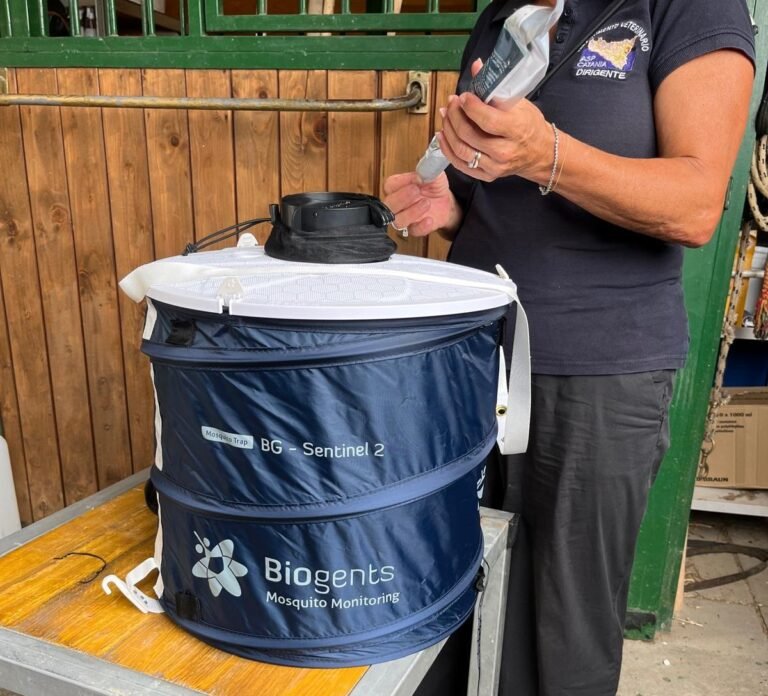 West Nile, sorveglianza attiva in provincia di Catania; i veterinari dell’Asp: “La prevenzione è un impegno di tutti”