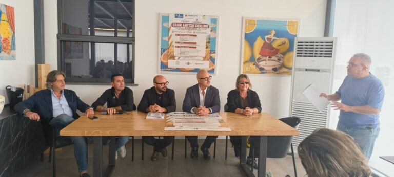 Grani antichi siciliani, nasce la “Rete per l’IGP”: una filiera da 200 milioni che punta al miliardo