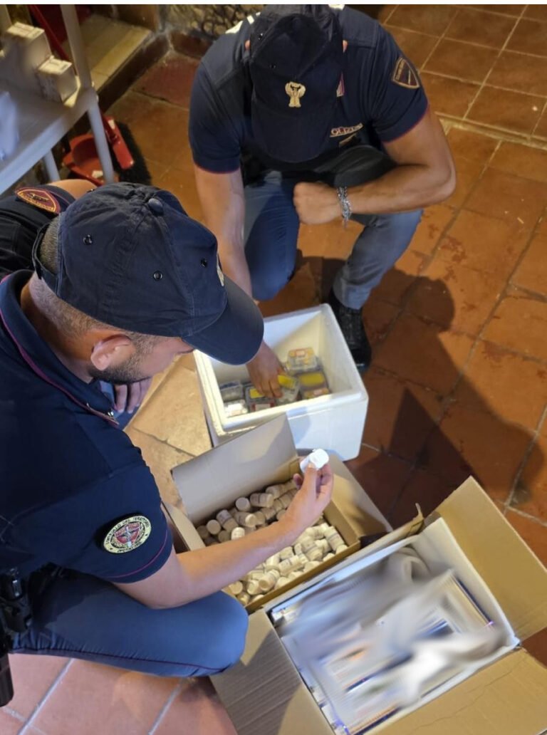 Catania, maxi-sequestro di farmaci dopanti in un’abitazione di Caltagirone